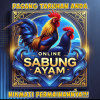 sambung ayam 2025