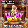 Lucky neko untuk pemula