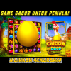 CHICKEN DROP GACOR