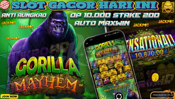 Tips & Trik Jitu Maxwin Besar Game Slot Gorilla Mayhem