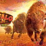 Slot Buffalo Win: Sang Raja Padang Rumput Siap Menanduk Rezeki Maxwin!